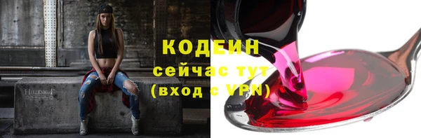 spice Арсеньев