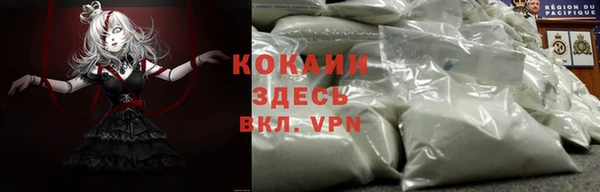 spice Арсеньев