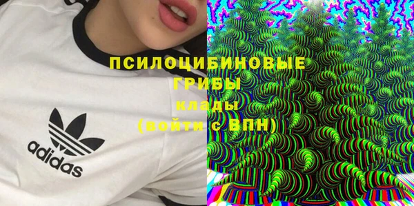 дживик Армянск