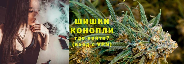 сатива Пролетарск