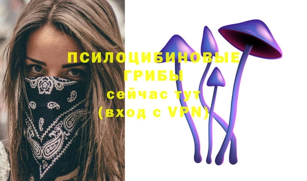 spice Арсеньев