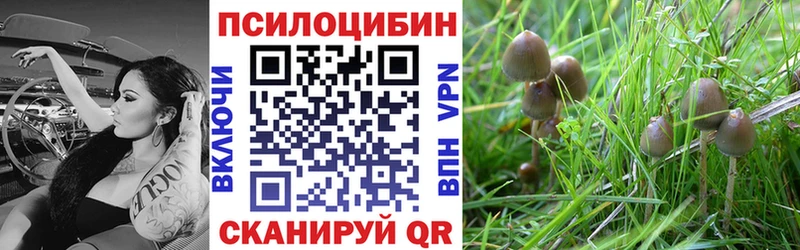 магазин продажи   Хвалынск  Галлюциногенные грибы мухоморы 